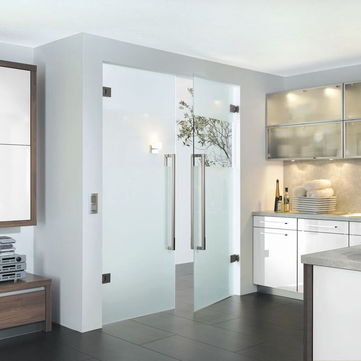 Стеклянная дверь 